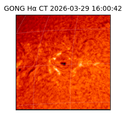 gong - 2026-03-29T16:00:42