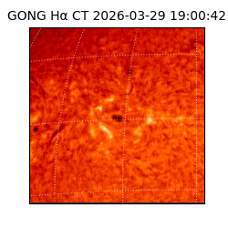 gong - 2026-03-29T19:00:42