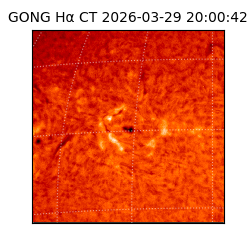 gong - 2026-03-29T20:00:42