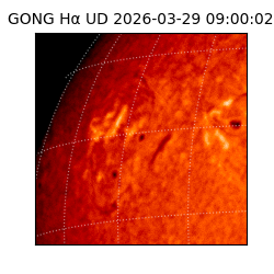 gong - 2026-03-29T09:00:02