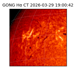 gong - 2026-03-29T19:00:42