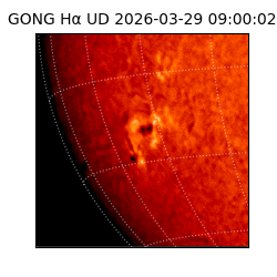 gong - 2026-03-29T09:00:02