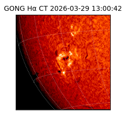 gong - 2026-03-29T13:00:42