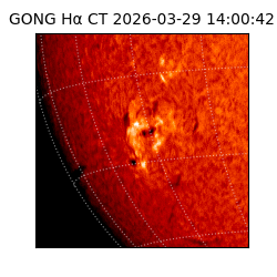 gong - 2026-03-29T14:00:42