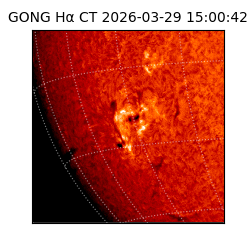 gong - 2026-03-29T15:00:42