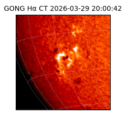 gong - 2026-03-29T20:00:42