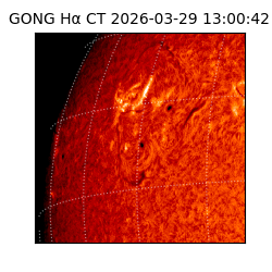 gong - 2026-03-29T13:00:42