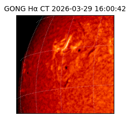 gong - 2026-03-29T16:00:42