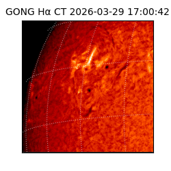 gong - 2026-03-29T17:00:42