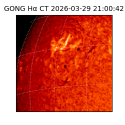 gong - 2026-03-29T21:00:42
