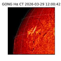 gong - 2026-03-29T12:00:42