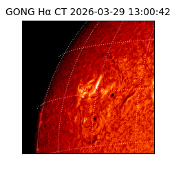 gong - 2026-03-29T13:00:42