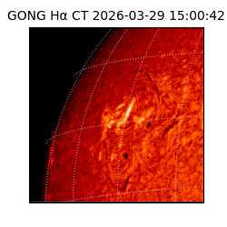 gong - 2026-03-29T15:00:42