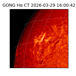 gong - 2026-03-29T16:00:42