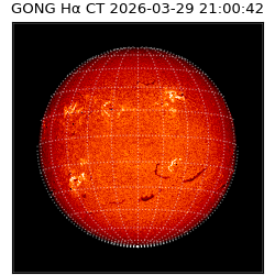 gong - 2026-03-29T21:00:42