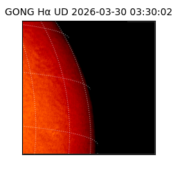 gong - 2026-03-30T03:30:02