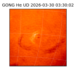 gong - 2026-03-30T03:30:02