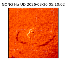 gong - 2026-03-30T05:10:02