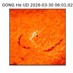 gong - 2026-03-30T06:01:02