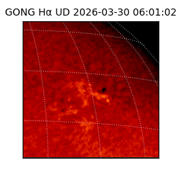 gong - 2026-03-30T06:01:02