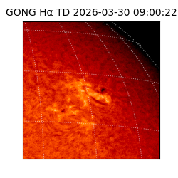 gong - 2026-03-30T09:00:22