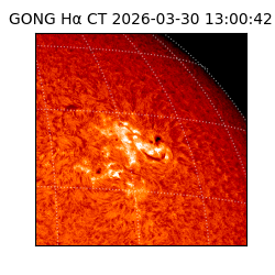 gong - 2026-03-30T13:00:42