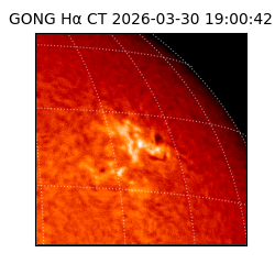 gong - 2026-03-30T19:00:42
