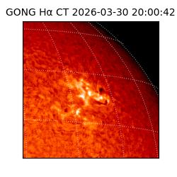 gong - 2026-03-30T20:00:42