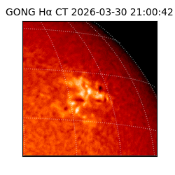 gong - 2026-03-30T21:00:42