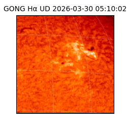 gong - 2026-03-30T05:10:02