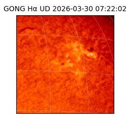 gong - 2026-03-30T07:22:02