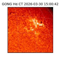 gong - 2026-03-30T15:00:42