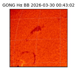 gong - 2026-03-30T00:43:02