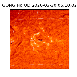 gong - 2026-03-30T05:10:02