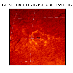 gong - 2026-03-30T06:01:02