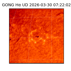 gong - 2026-03-30T07:22:02