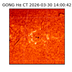 gong - 2026-03-30T14:00:42