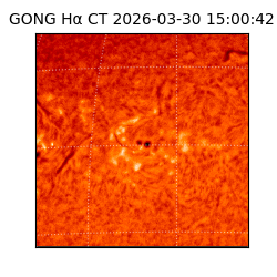 gong - 2026-03-30T15:00:42