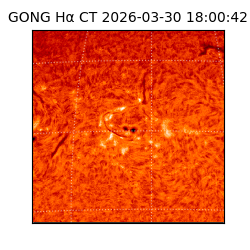 gong - 2026-03-30T18:00:42