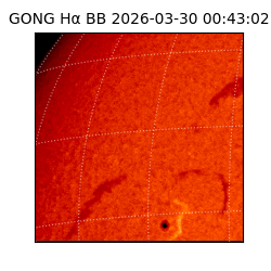 gong - 2026-03-30T00:43:02