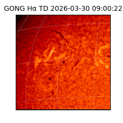 gong - 2026-03-30T09:00:22