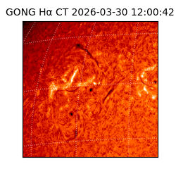 gong - 2026-03-30T12:00:42