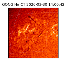 gong - 2026-03-30T14:00:42