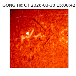 gong - 2026-03-30T15:00:42