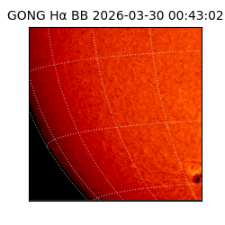 gong - 2026-03-30T00:43:02