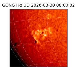 gong - 2026-03-30T08:00:02