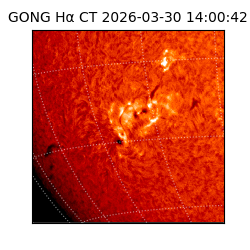 gong - 2026-03-30T14:00:42
