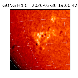gong - 2026-03-30T19:00:42