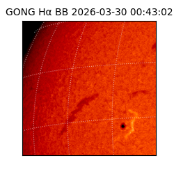 gong - 2026-03-30T00:43:02