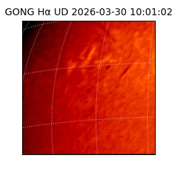 gong - 2026-03-30T10:01:02
